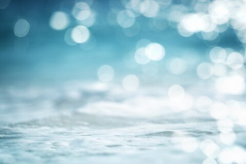 色づく季節、年の瀬の足音